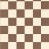 Blenets Check 113170